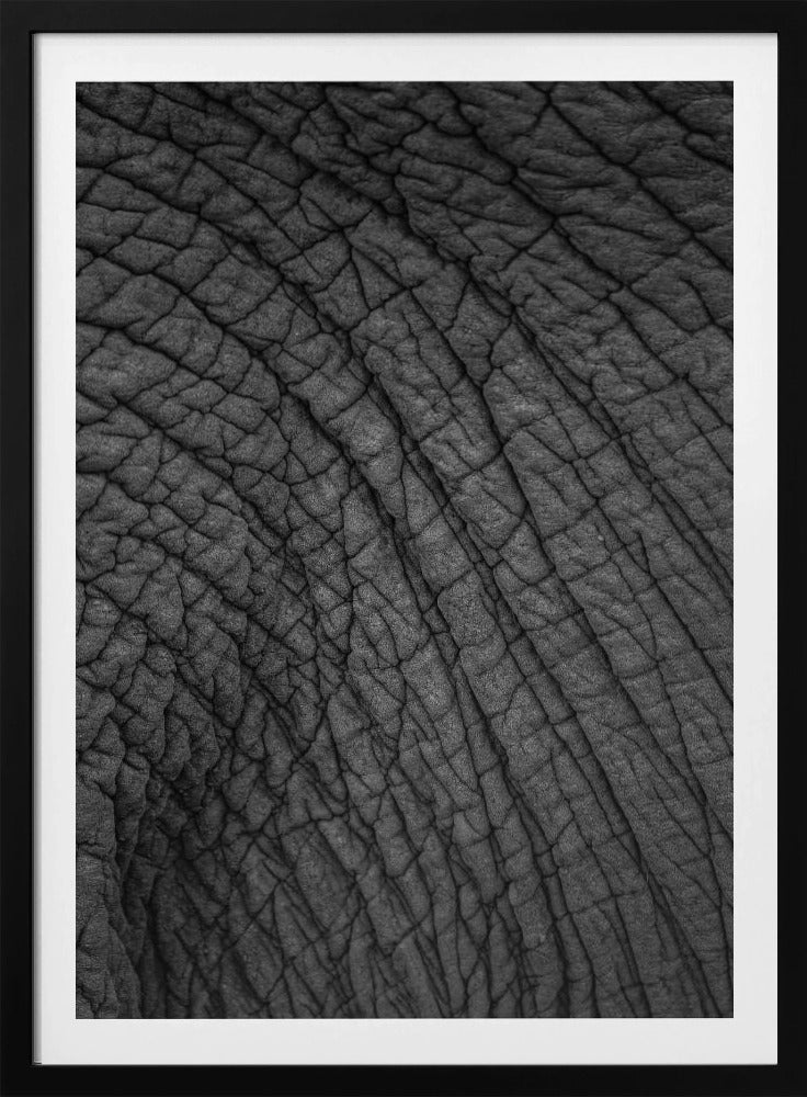 Elefanten-Wandteppich | Poster