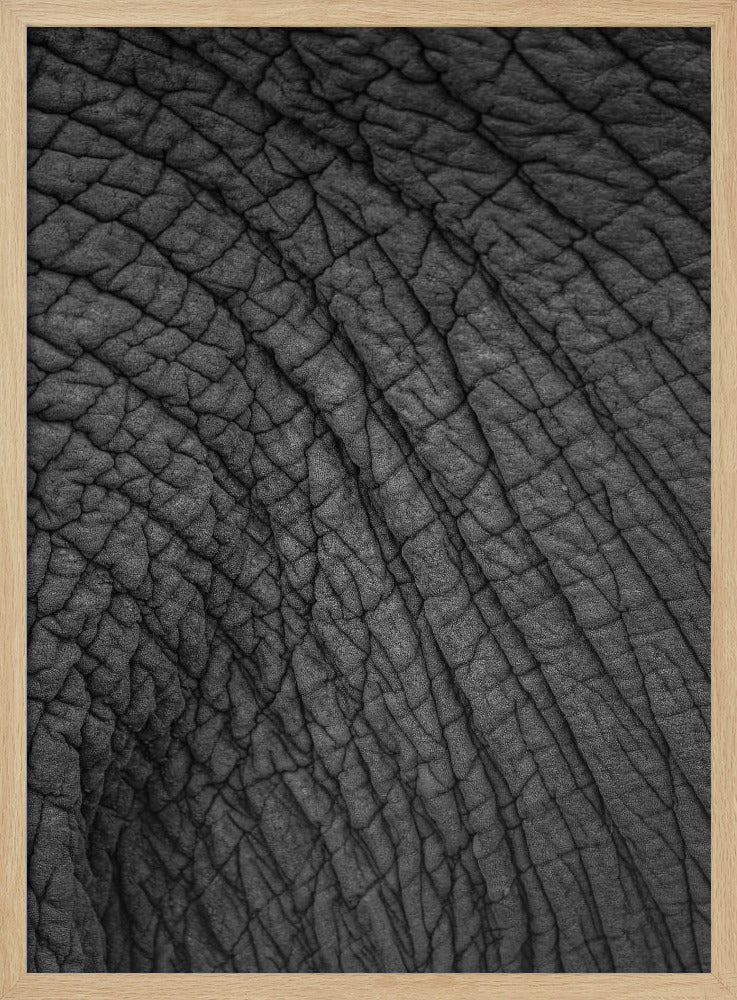 Elefanten-Wandteppich | Poster