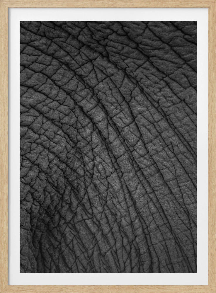 Elefanten-Wandteppich | Poster