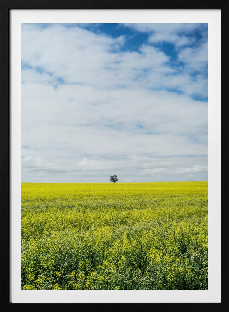 Einsamer Baumhorizont | Poster