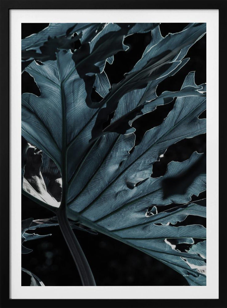 Blattschattenlandschaft | Poster