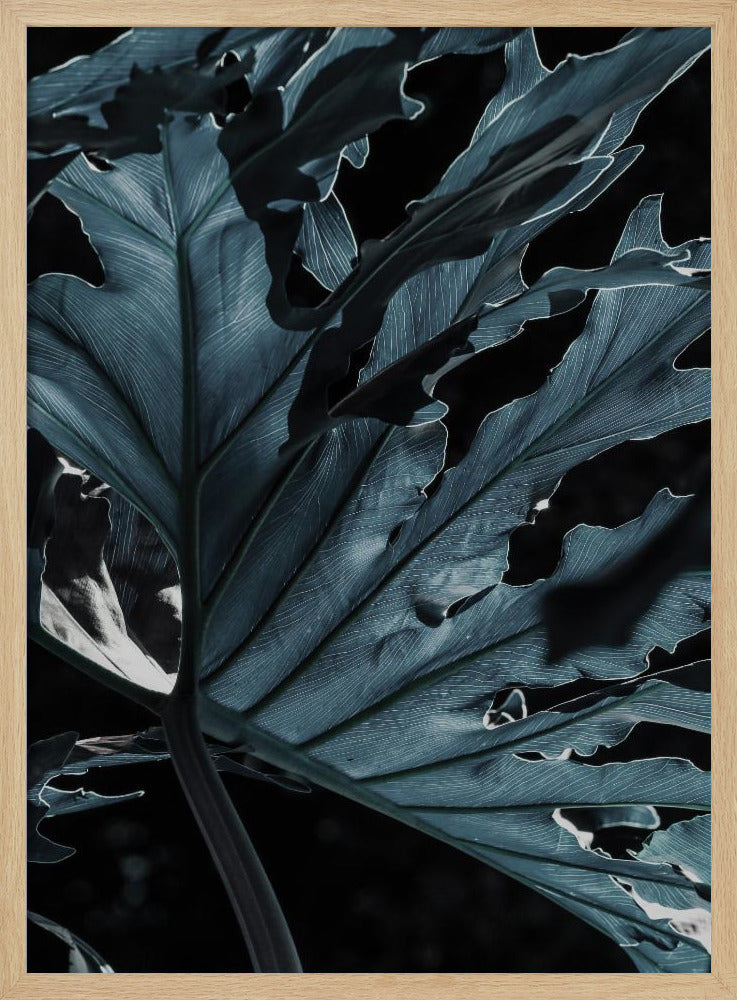 Leafy Shadowscape | Poster