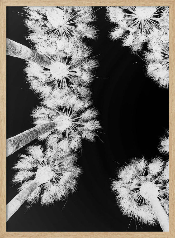 Umgekehrte Palmenlandschaft | Poster