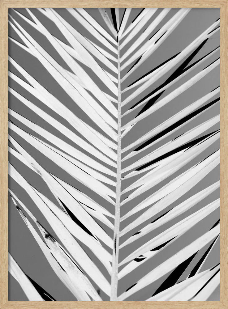 Monochrome Wedel | Poster