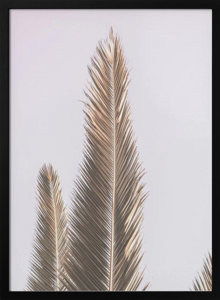 Goldene Wedel himmelwärts | Poster