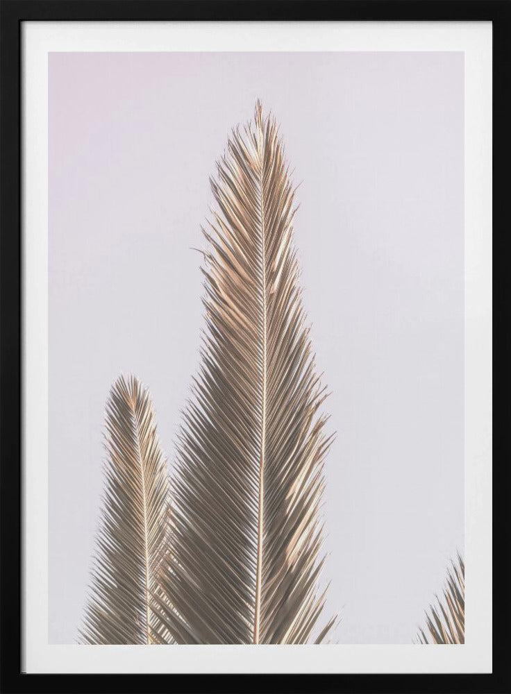 Goldene Wedel himmelwärts | Poster