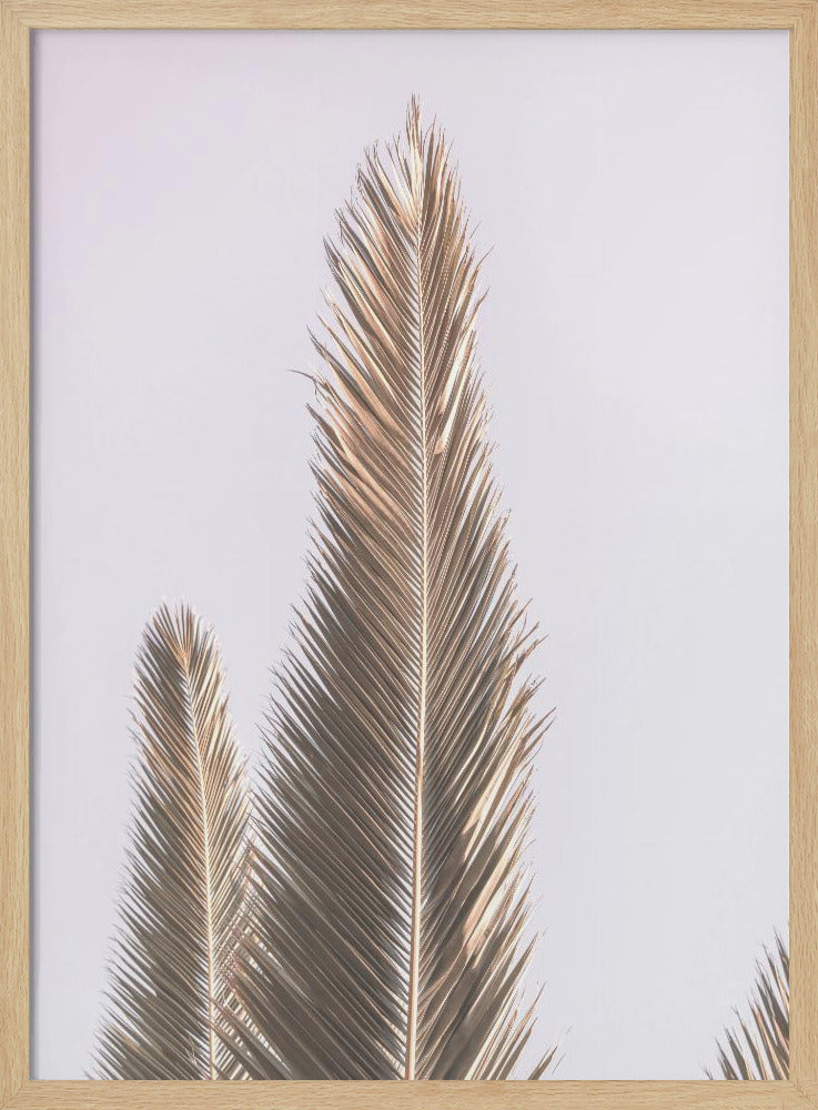 Goldene Wedel himmelwärts | Poster