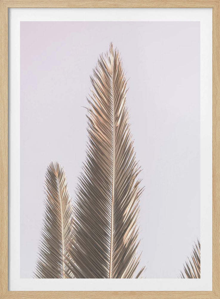 Goldene Wedel himmelwärts | Poster