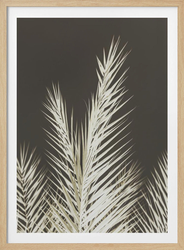 Leuchtende Wedel | Poster