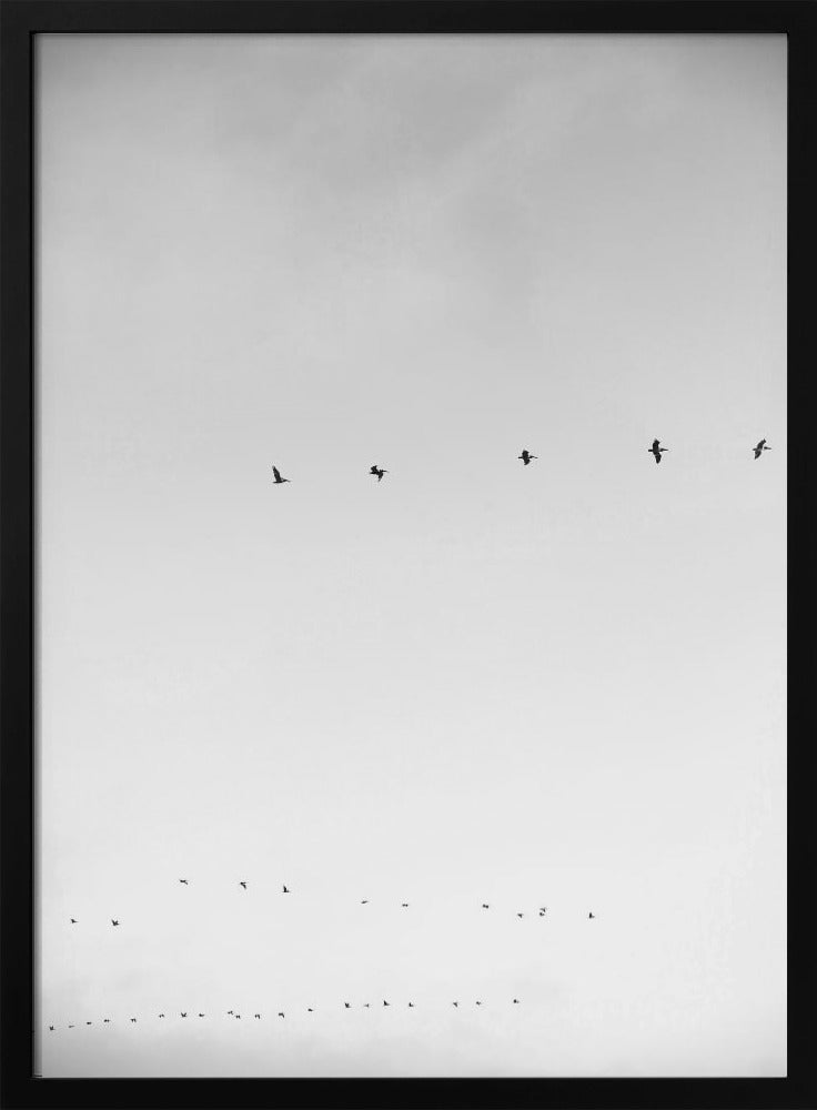 Himmelsflug | Poster
