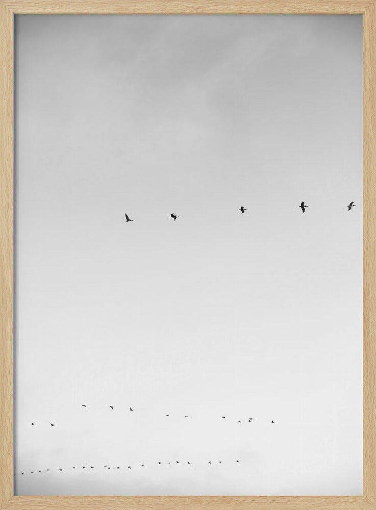 Himmelsflug | Poster
