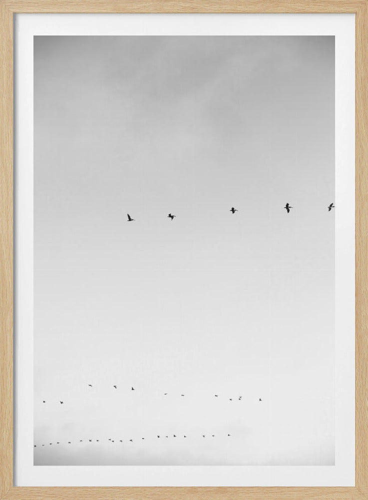 Himmelsflug | Poster