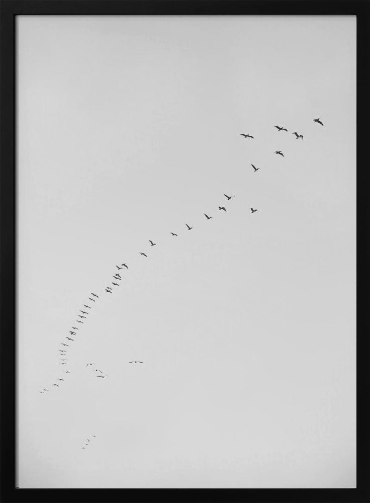 Formationsflug | Poster