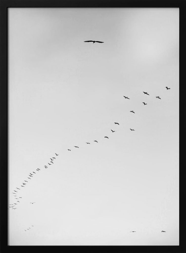 Himmelsreise | Poster