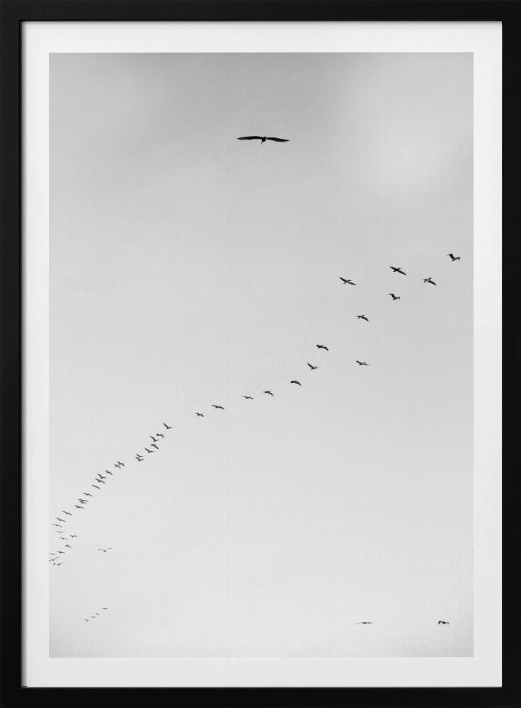 Himmelsreise | Poster