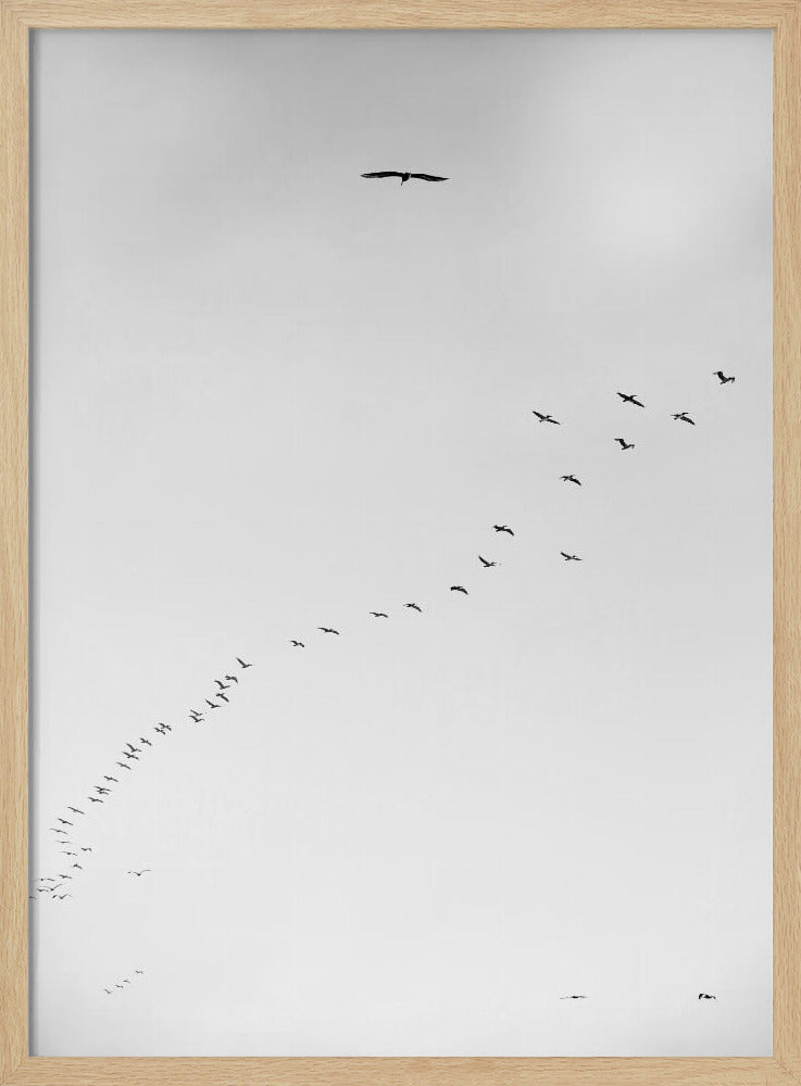 Himmelsreise | Poster