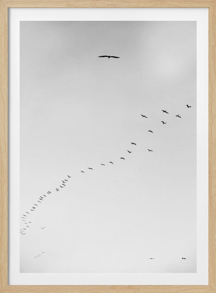 Himmelsreise | Poster