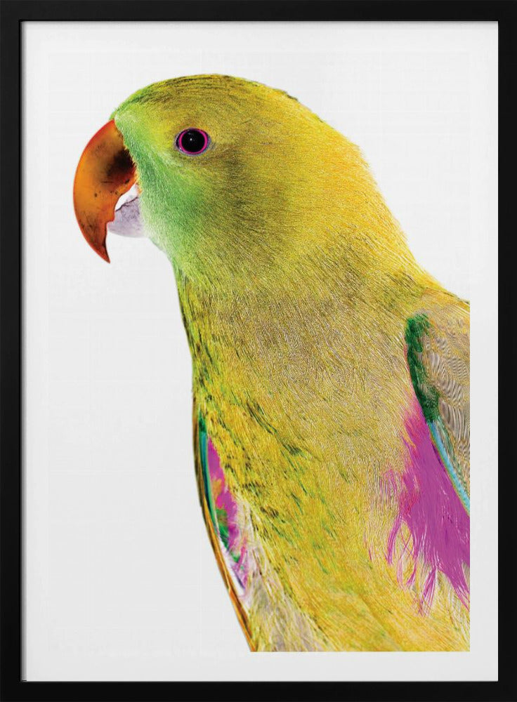 Lebendiges Papageienprofil | Poster