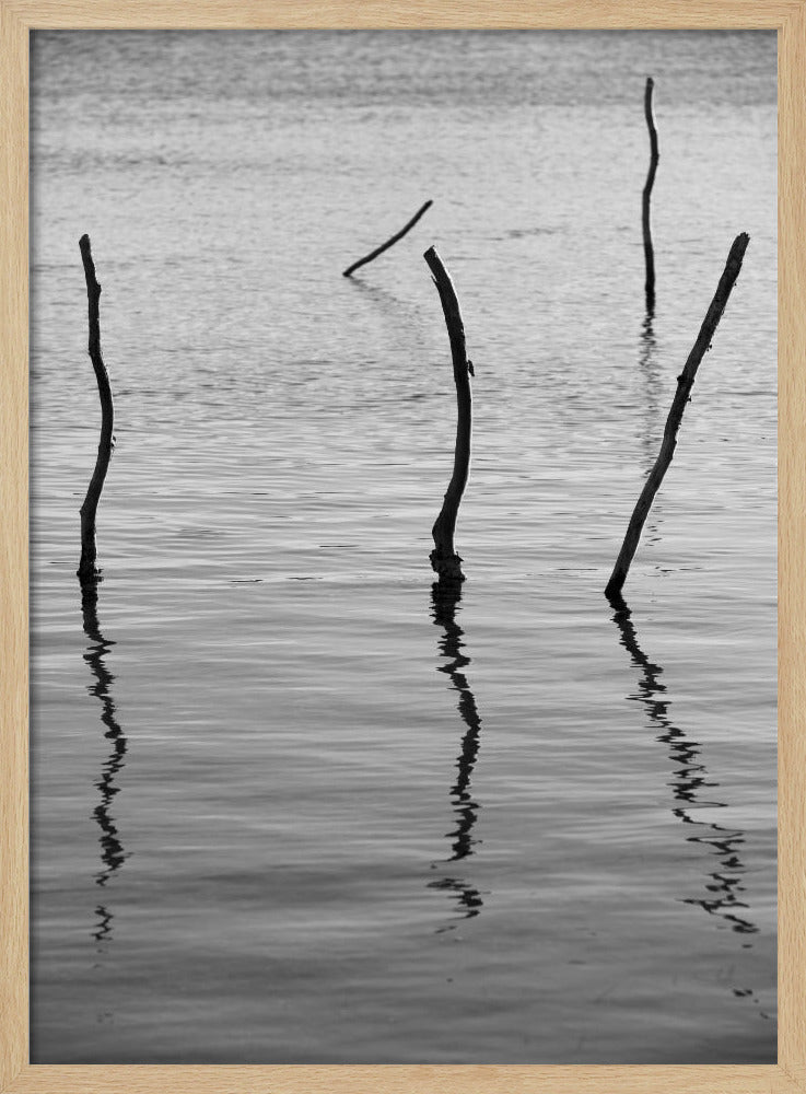 Stille Reflexionen | Poster