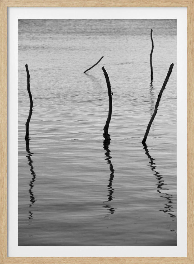 Stille Reflexionen | Poster
