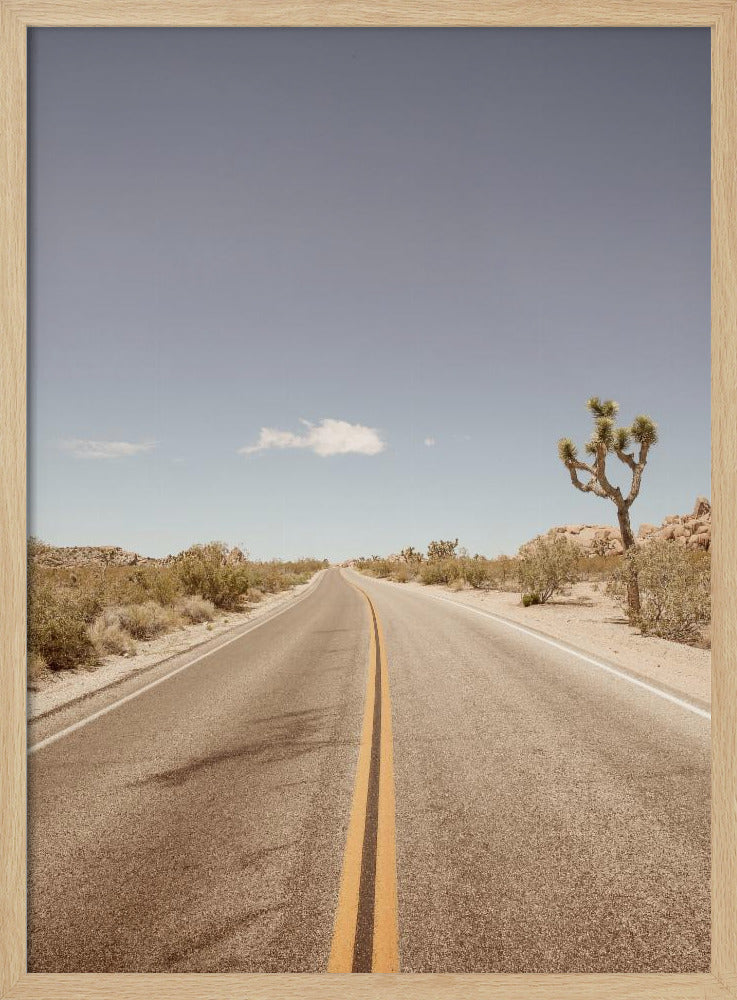 Verlassene Autobahn | Poster