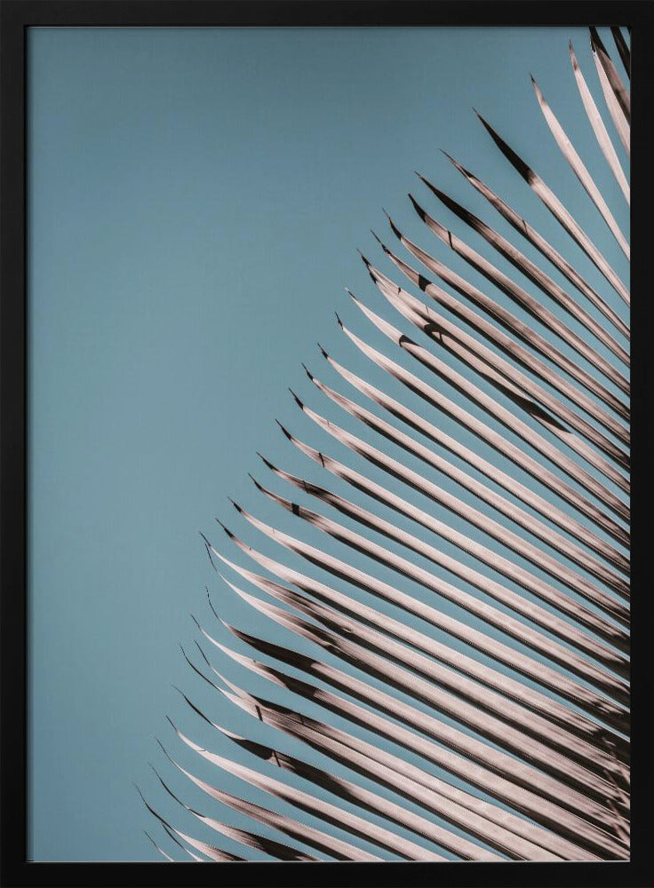Palmblätter Gelassenheit | Poster