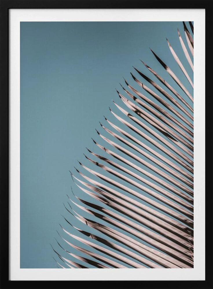 Palmblätter Gelassenheit | Poster