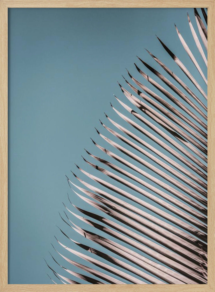 Palmblätter Gelassenheit | Poster