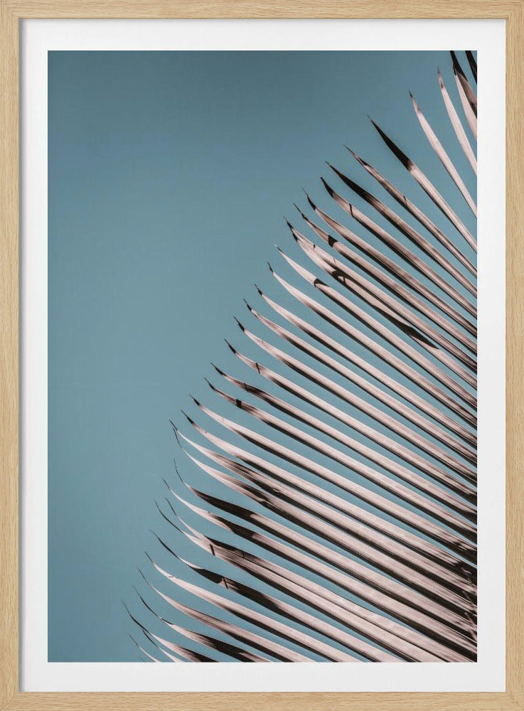 Palmblätter Gelassenheit | Poster