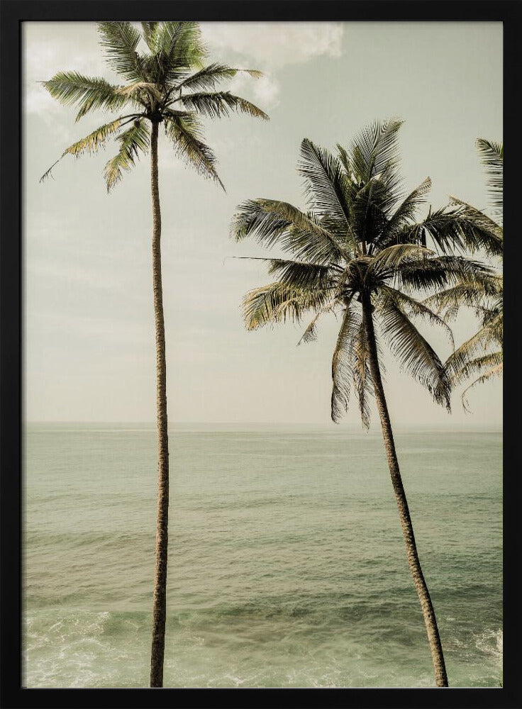 Palmen am Meer | Poster