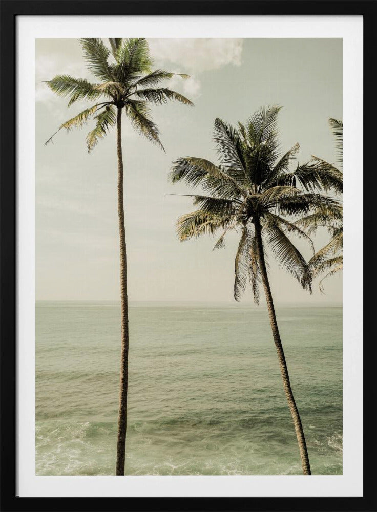 Palmen am Meer | Poster