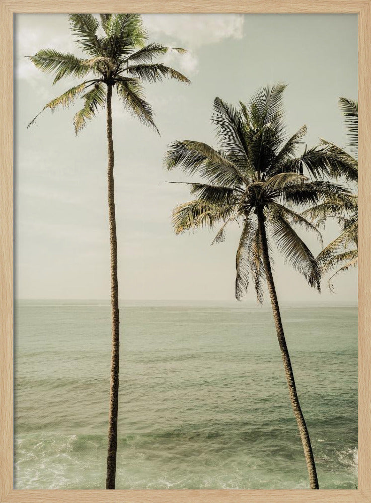 Palmen am Meer | Poster