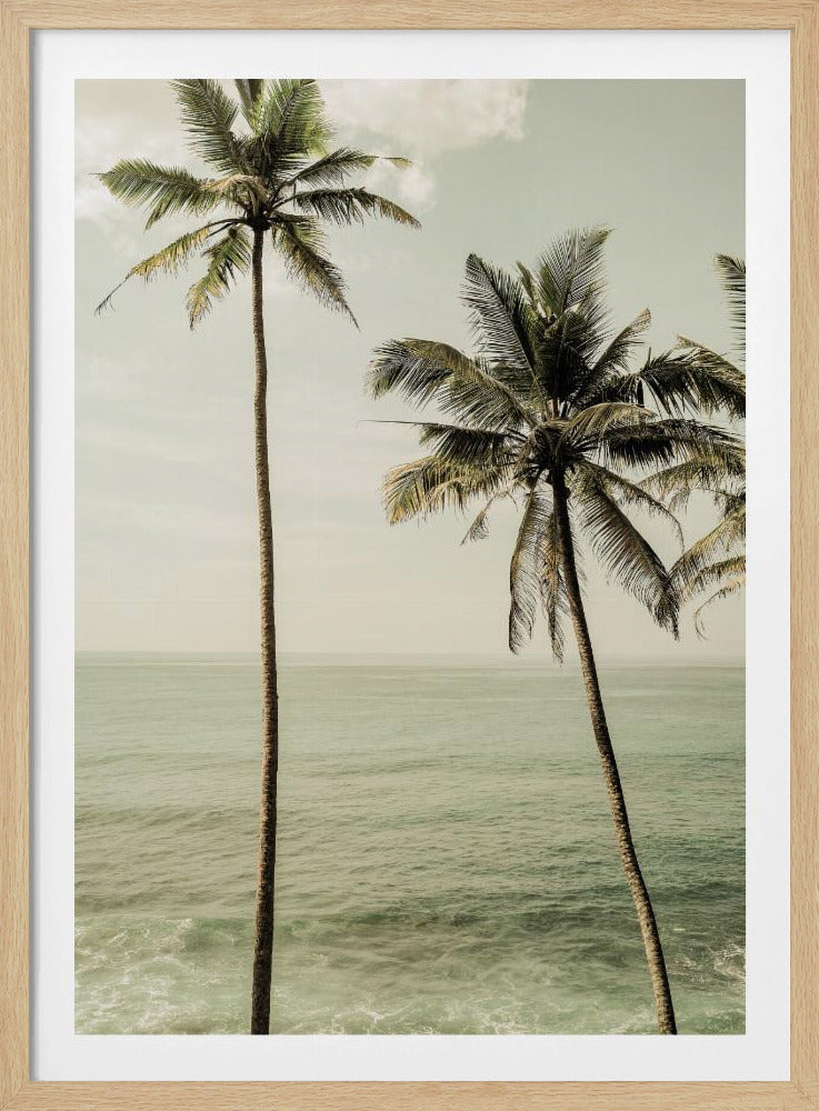 Palmen am Meer | Poster