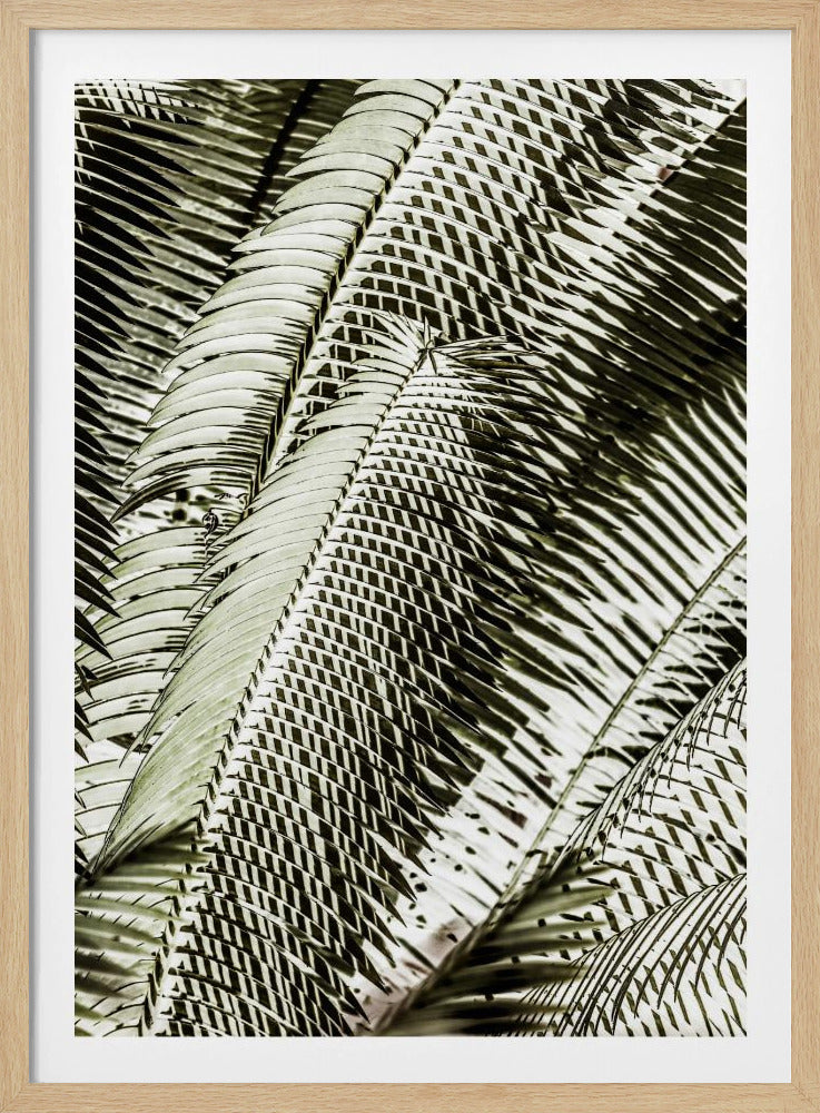 Schattentanz | Poster