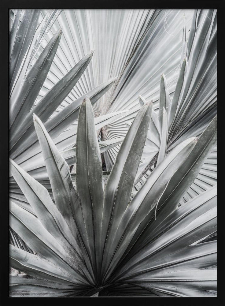 Silberspray | Poster
