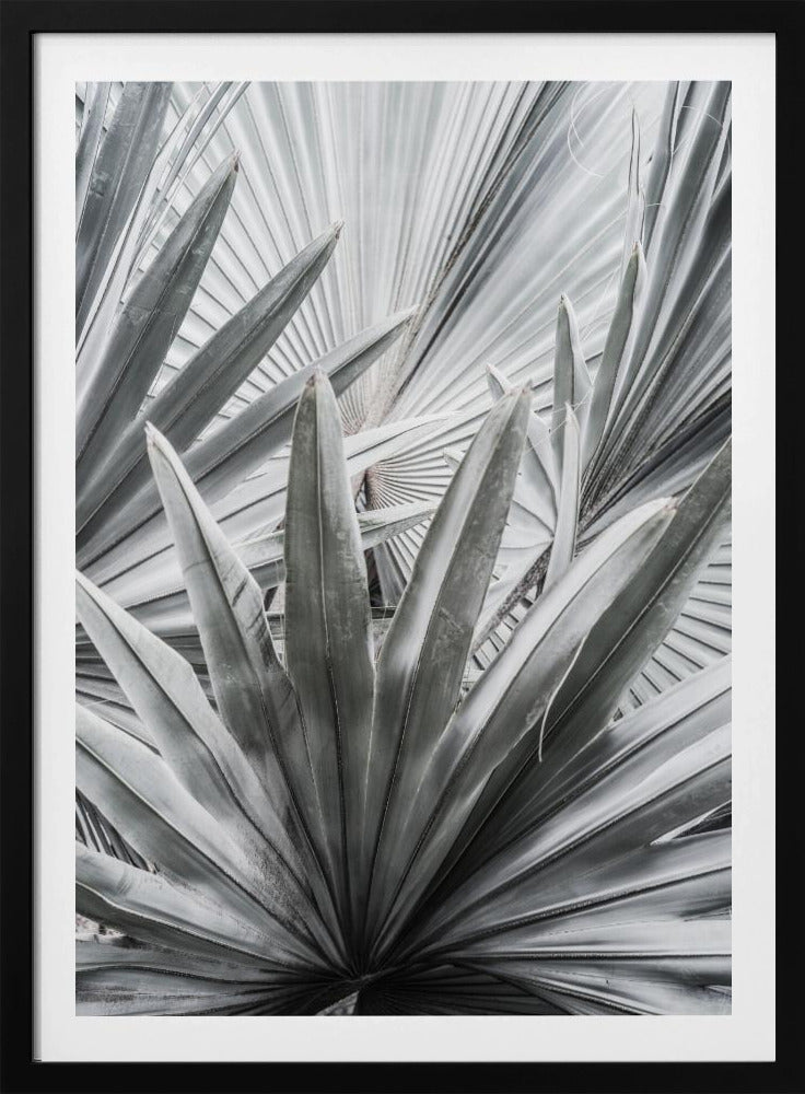 Silberspray | Poster