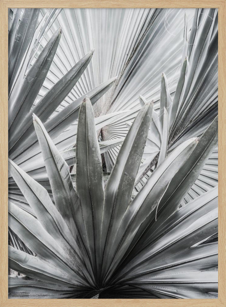 Silberspray | Poster