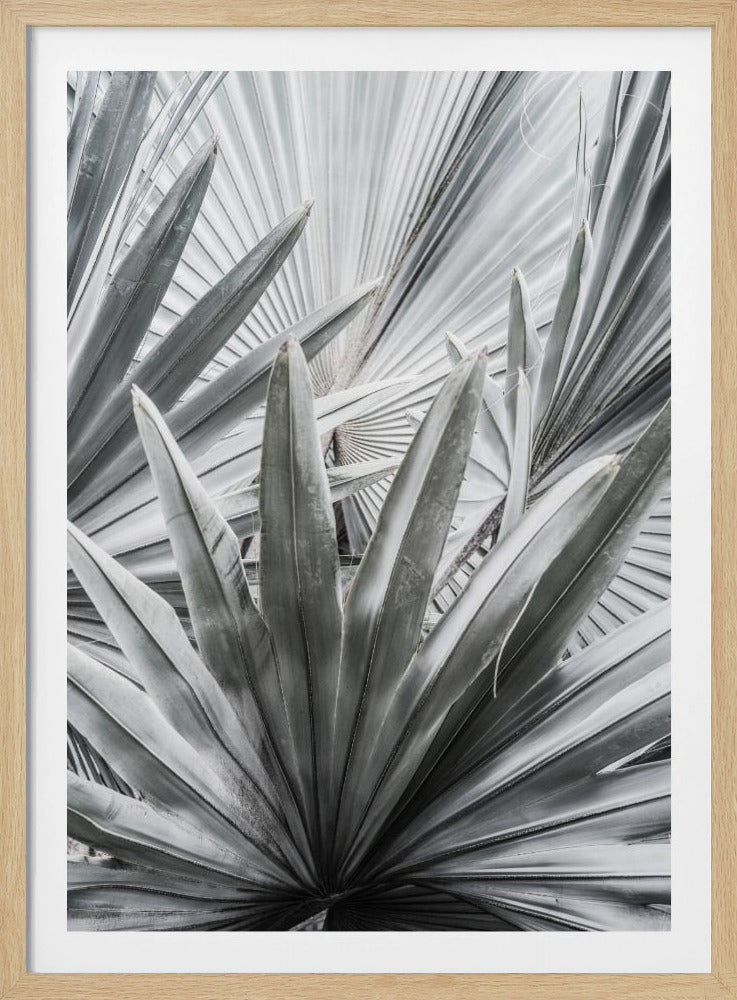 Silberspray | Poster
