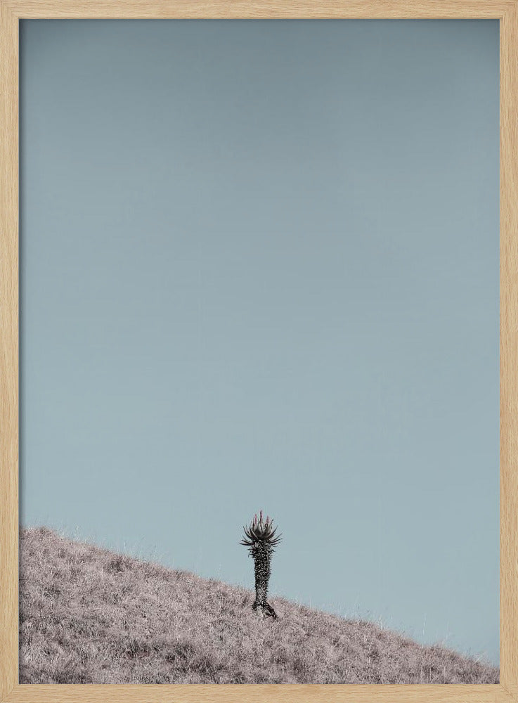 Minimalistisches Kunstwerk | Poster
