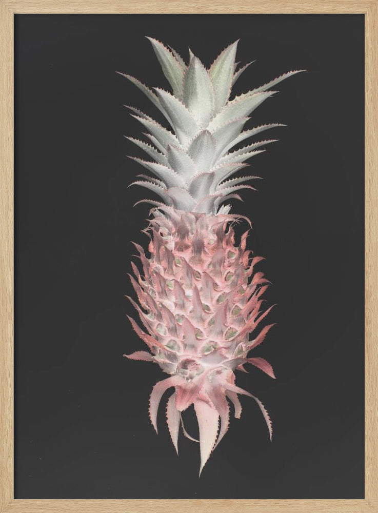 Erdbeerkiefer | Poster