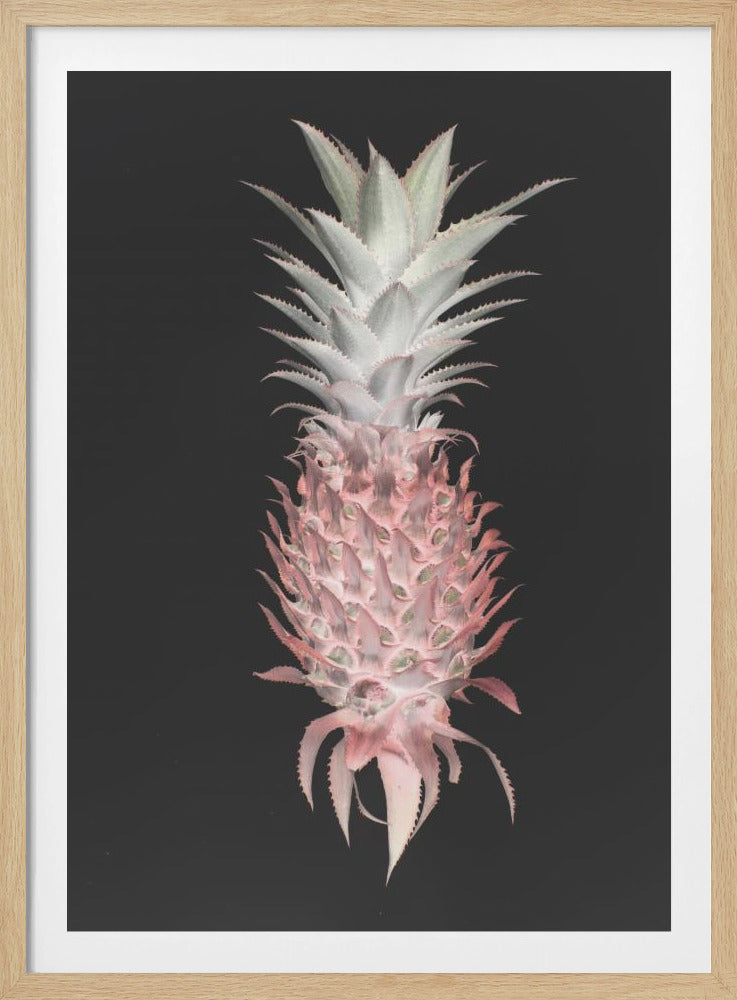 Erdbeerkiefer | Poster