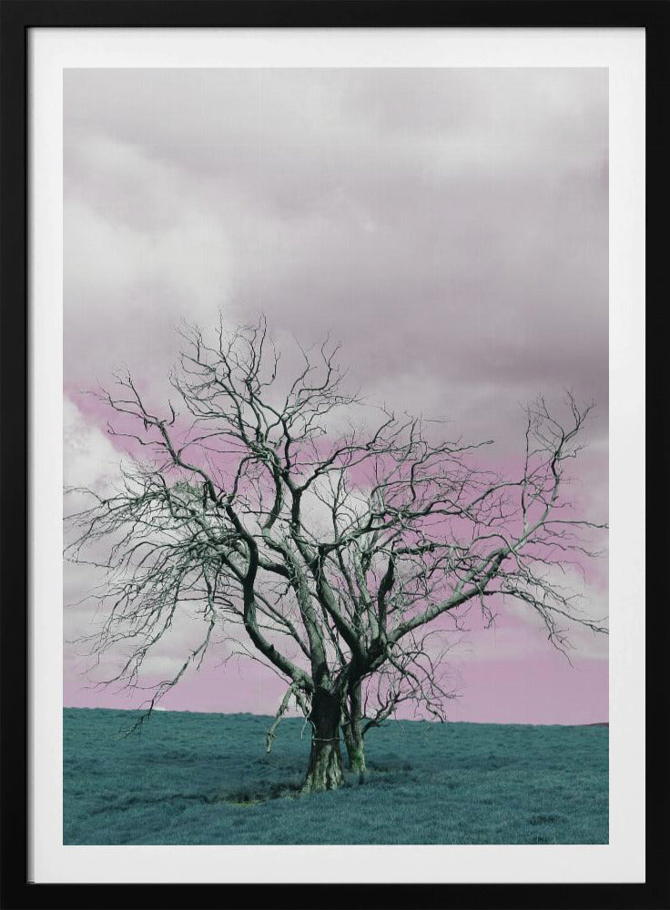 Unfruchtbarer Baum vor einem verträumten rosa Himmel | Poster