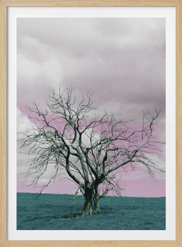 Unfruchtbarer Baum vor einem verträumten rosa Himmel | Poster