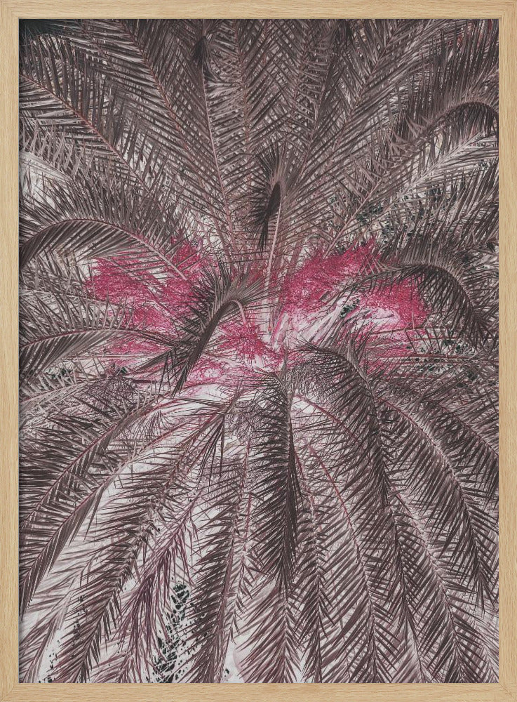 Vivid Portrayal Of Palm Leaves | Poster
