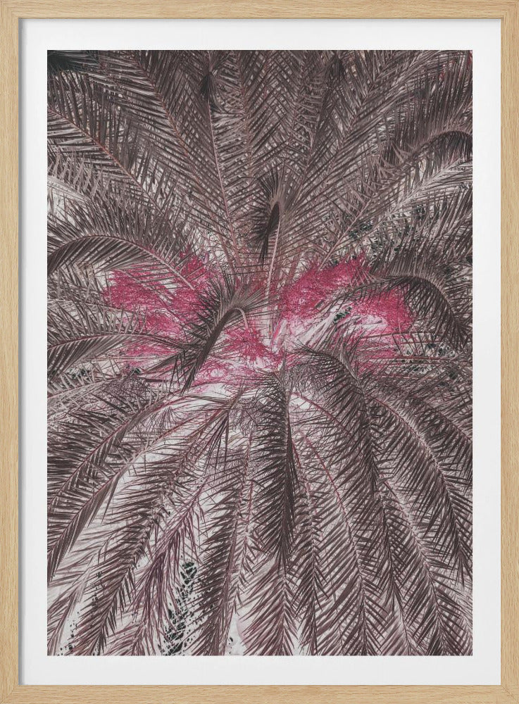 Vivid Portrayal Of Palm Leaves | Poster