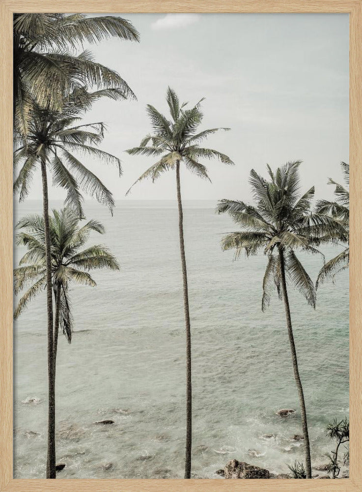 Tropische Träume | Poster