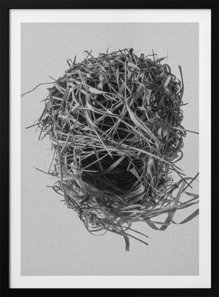 Webernest | Poster