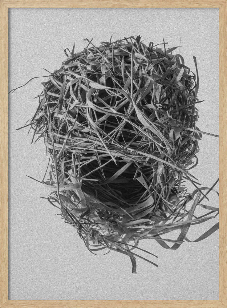Webernest | Poster