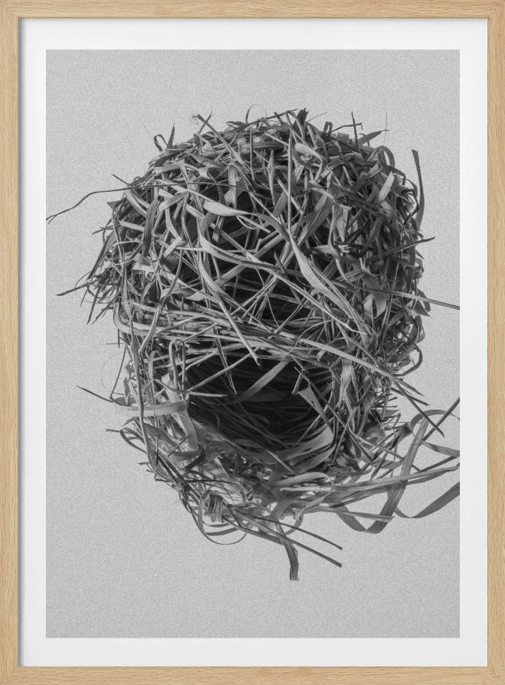 Webernest | Poster