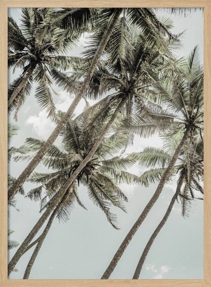 Wilde Liebe | Poster